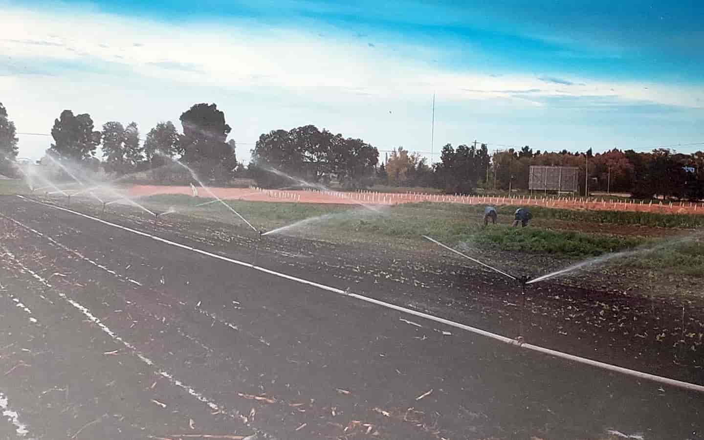 foto del entorno agricultura